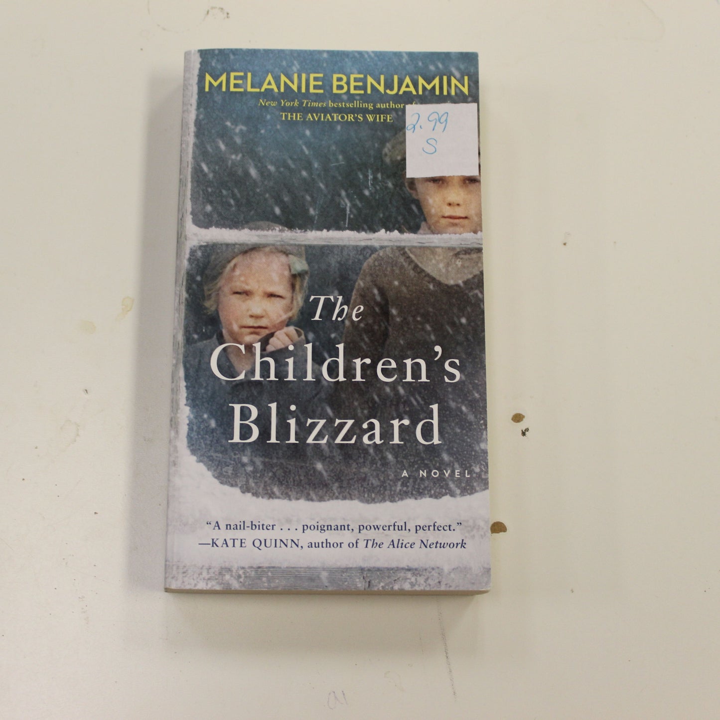 THE CHILDREN'S BLIZZARD