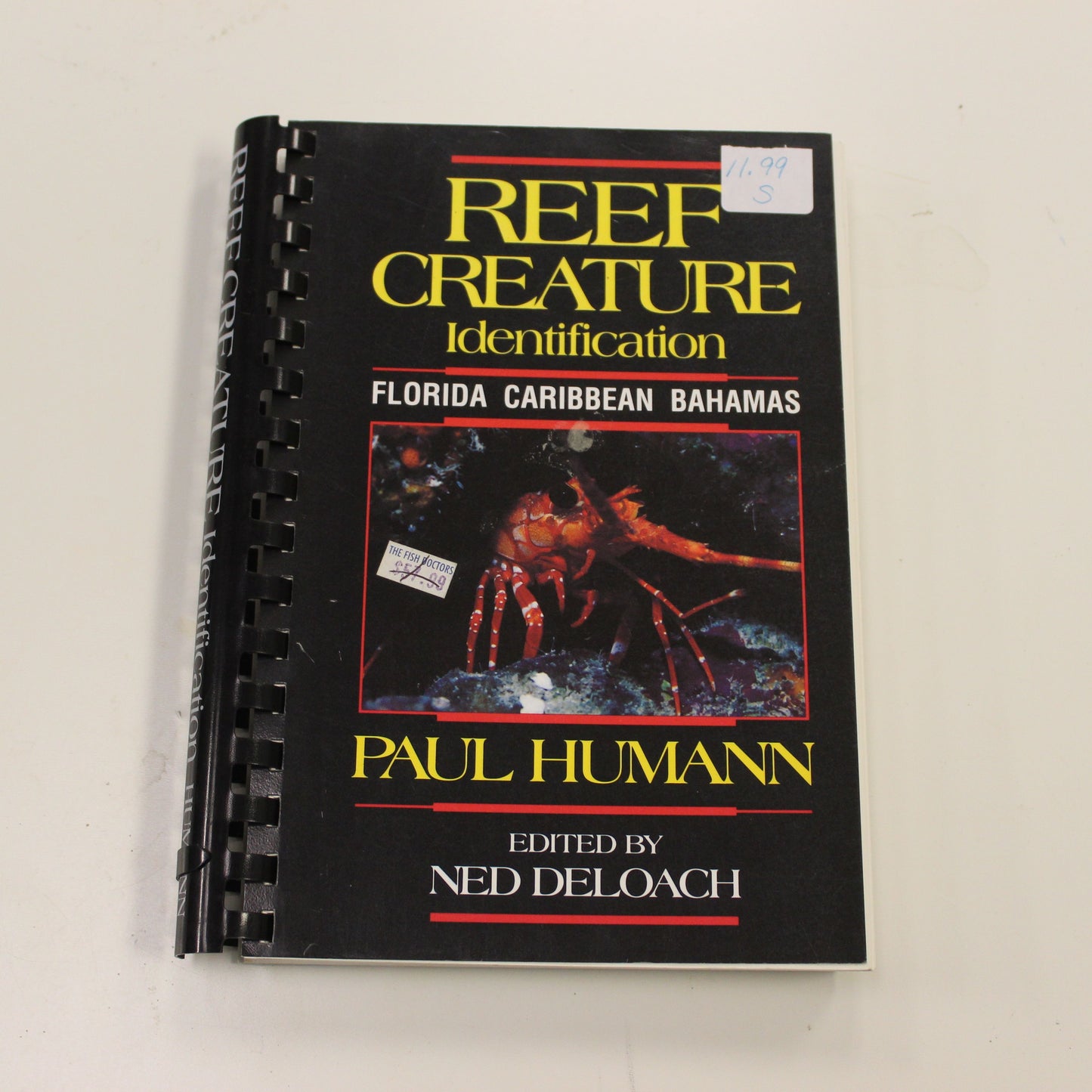 REEF CREATURE IDENTIFICATION