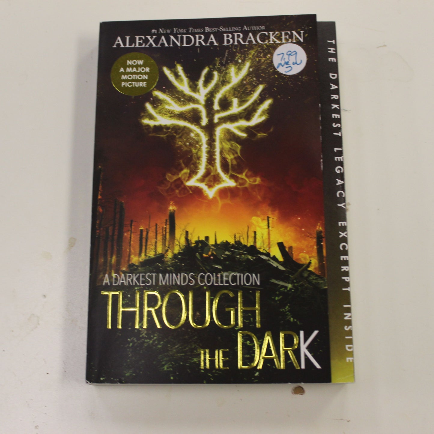 THROUGH THE DARK