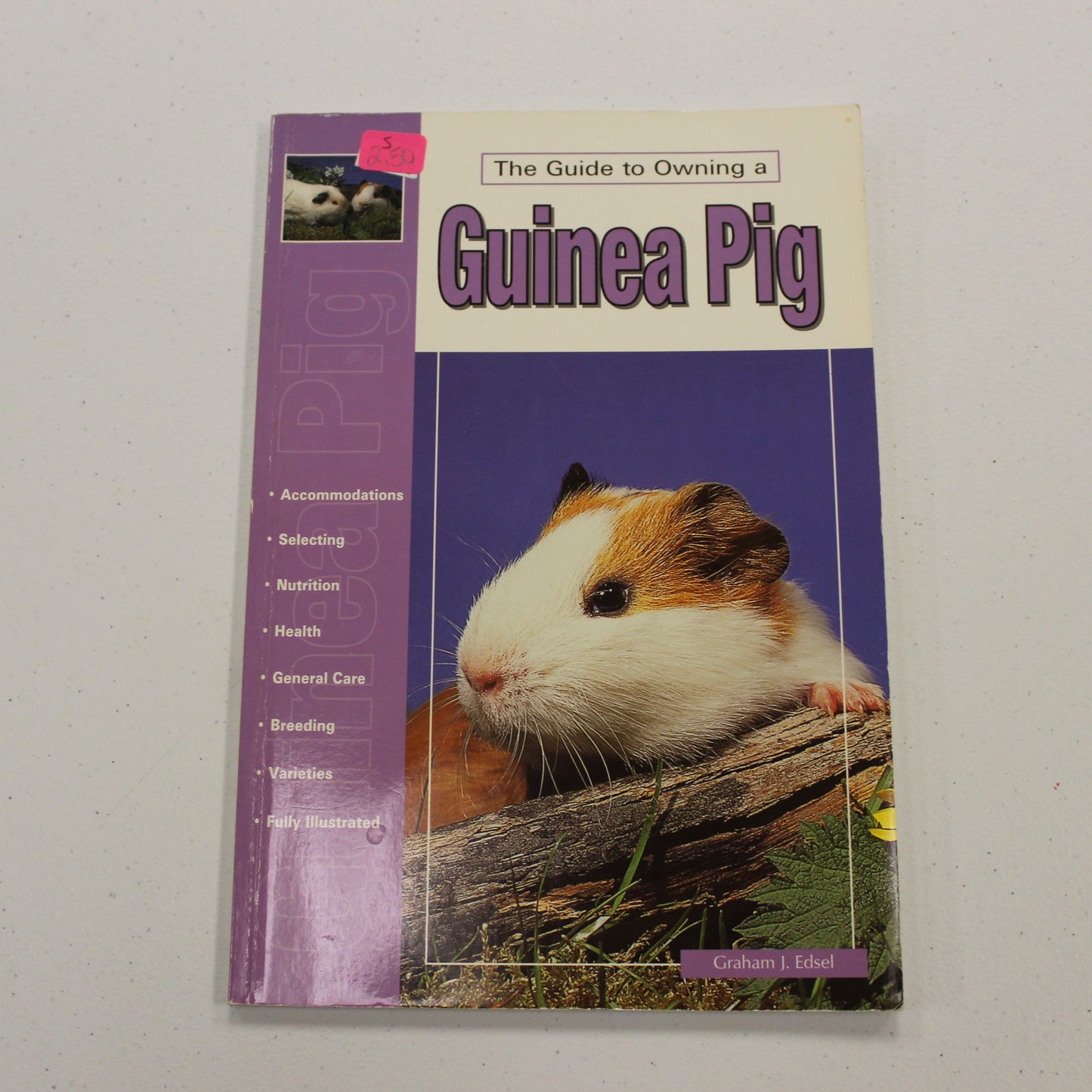 THE GUIDE TO OWNING A GUINEA PIG
