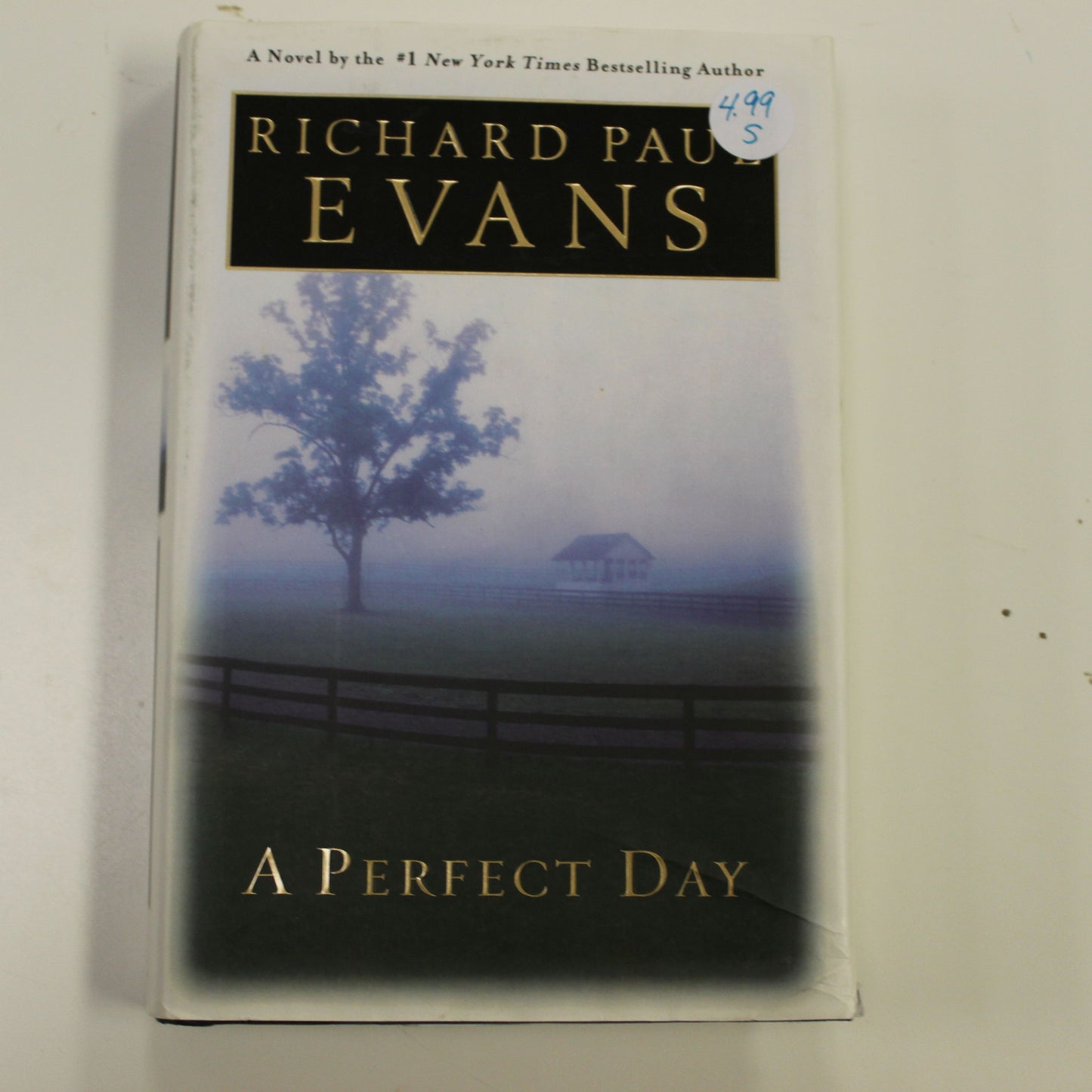 A PERFECT DAY