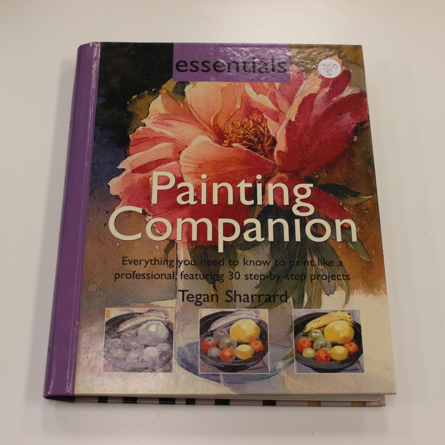 ESSENTIALS: PAINTING COMPANION