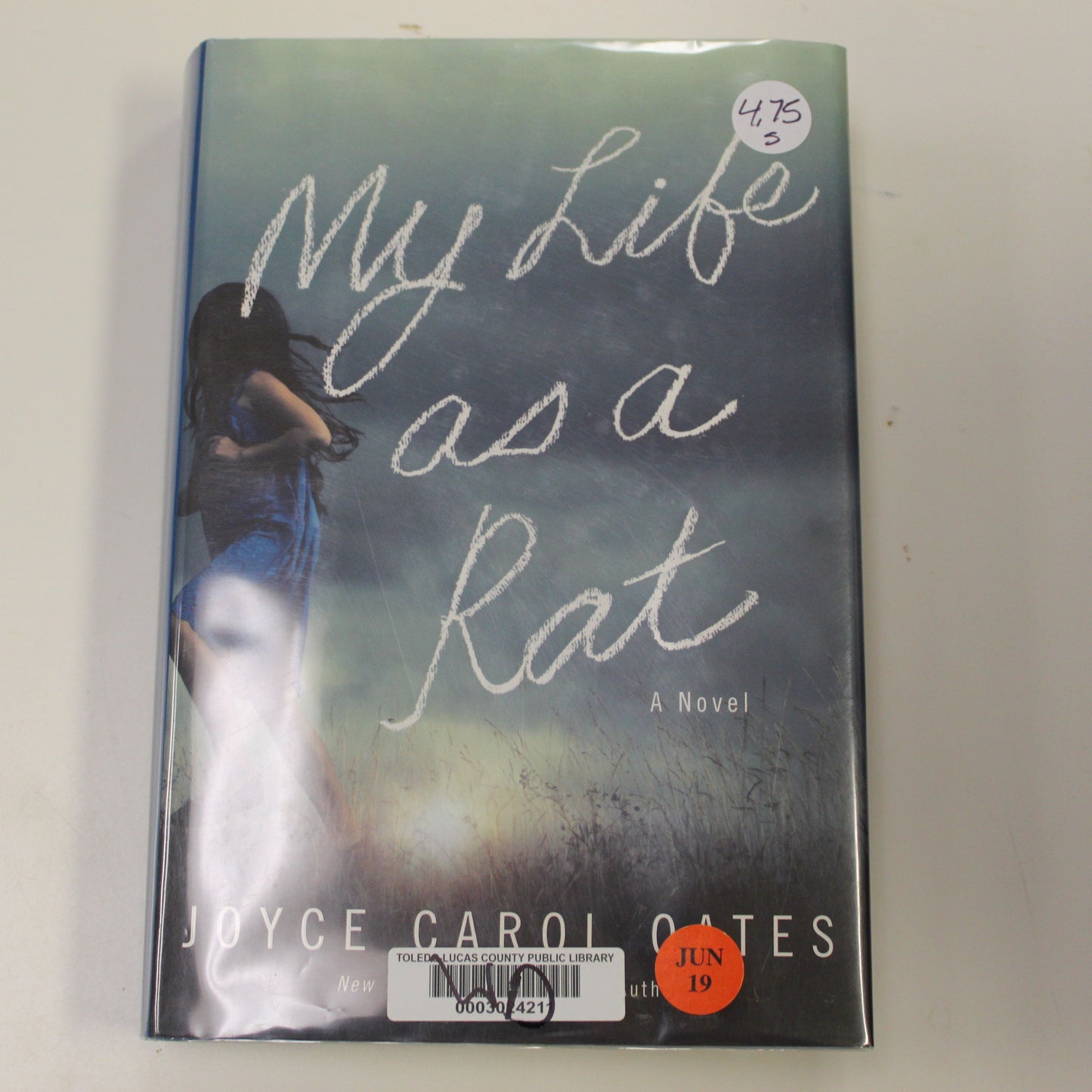MY LIFE AS A RAT