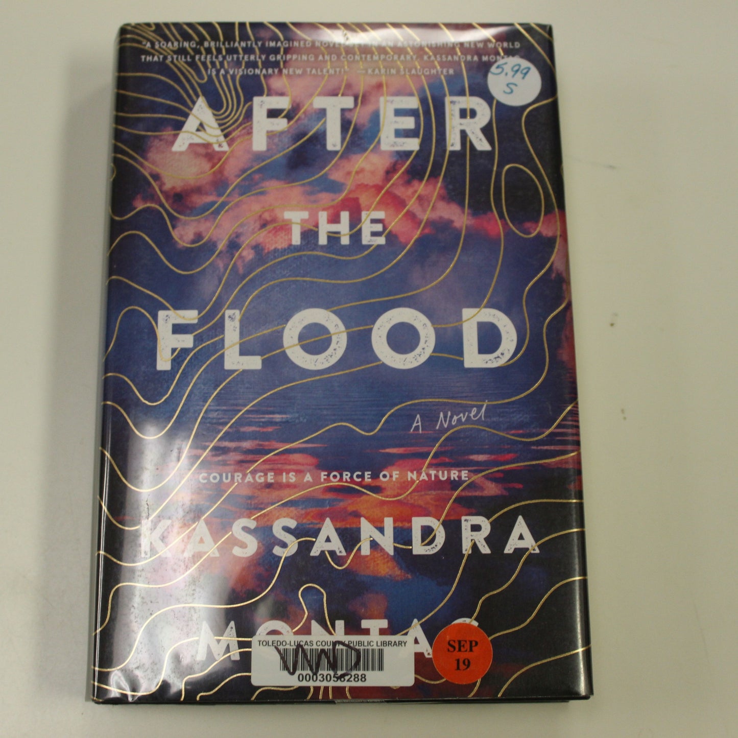 AFTER THE FLOOD