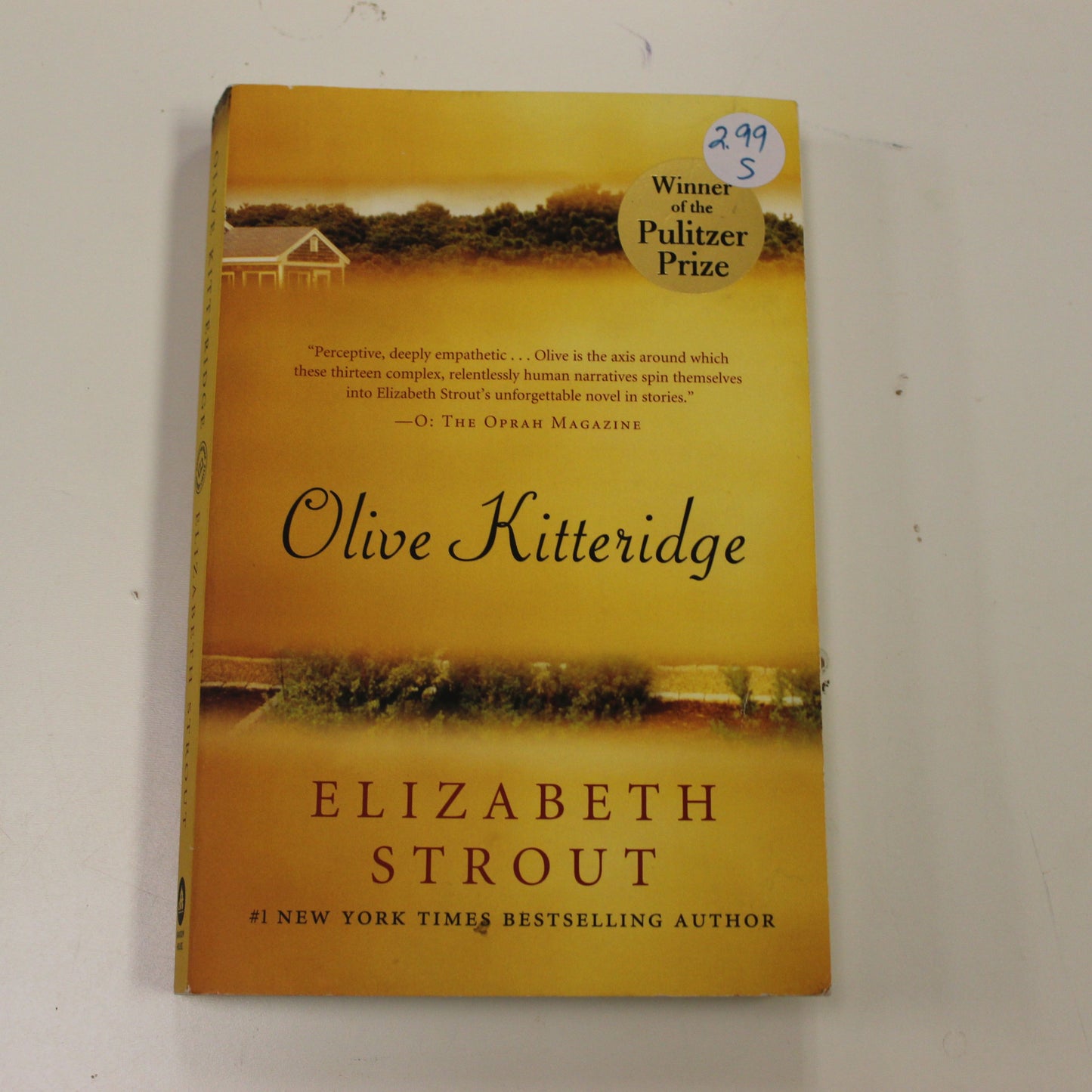 OLIVE KITTERIDGE
