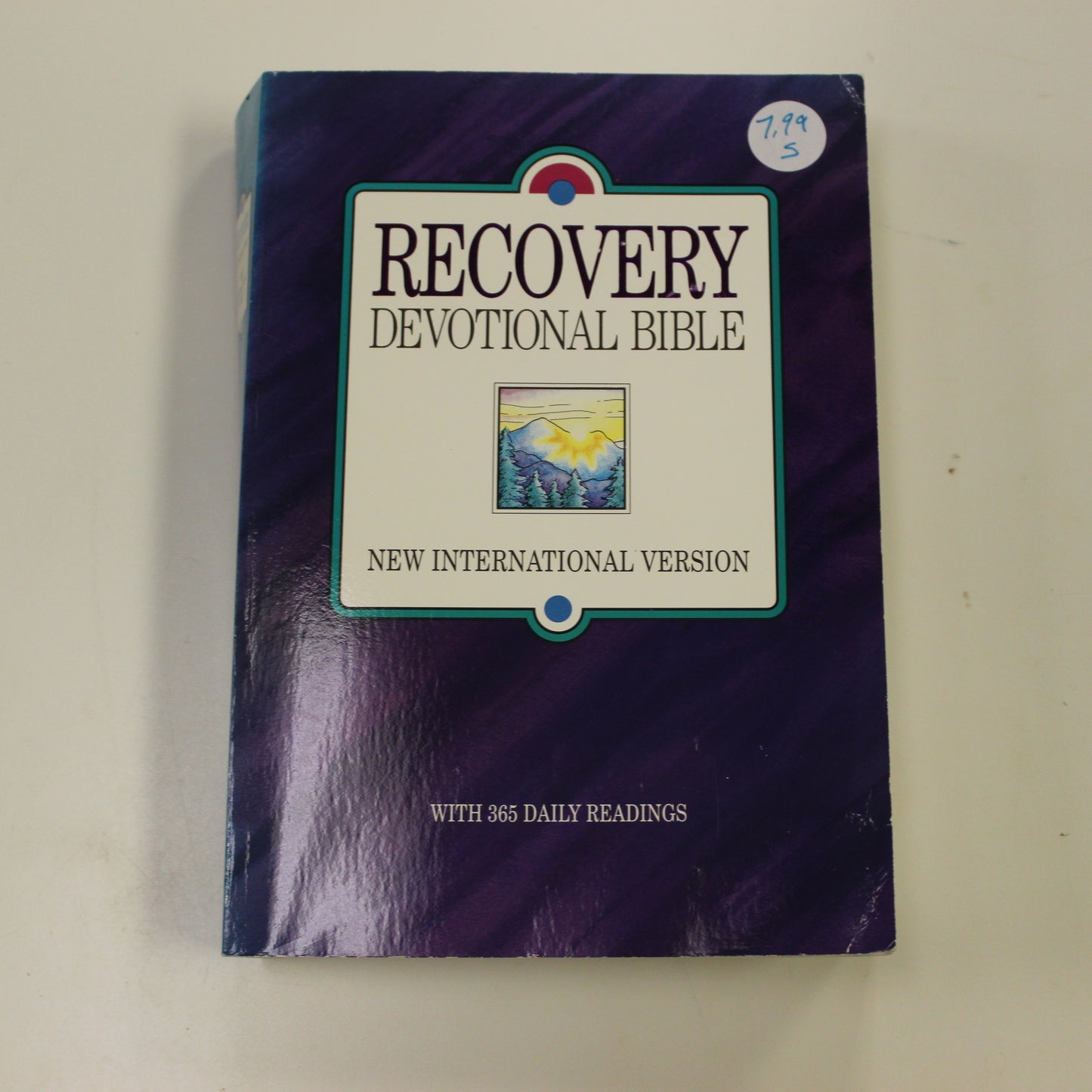 RECOVERY DEVOTIONAL BIBLE - NEW INTERNATIONAL VERSION