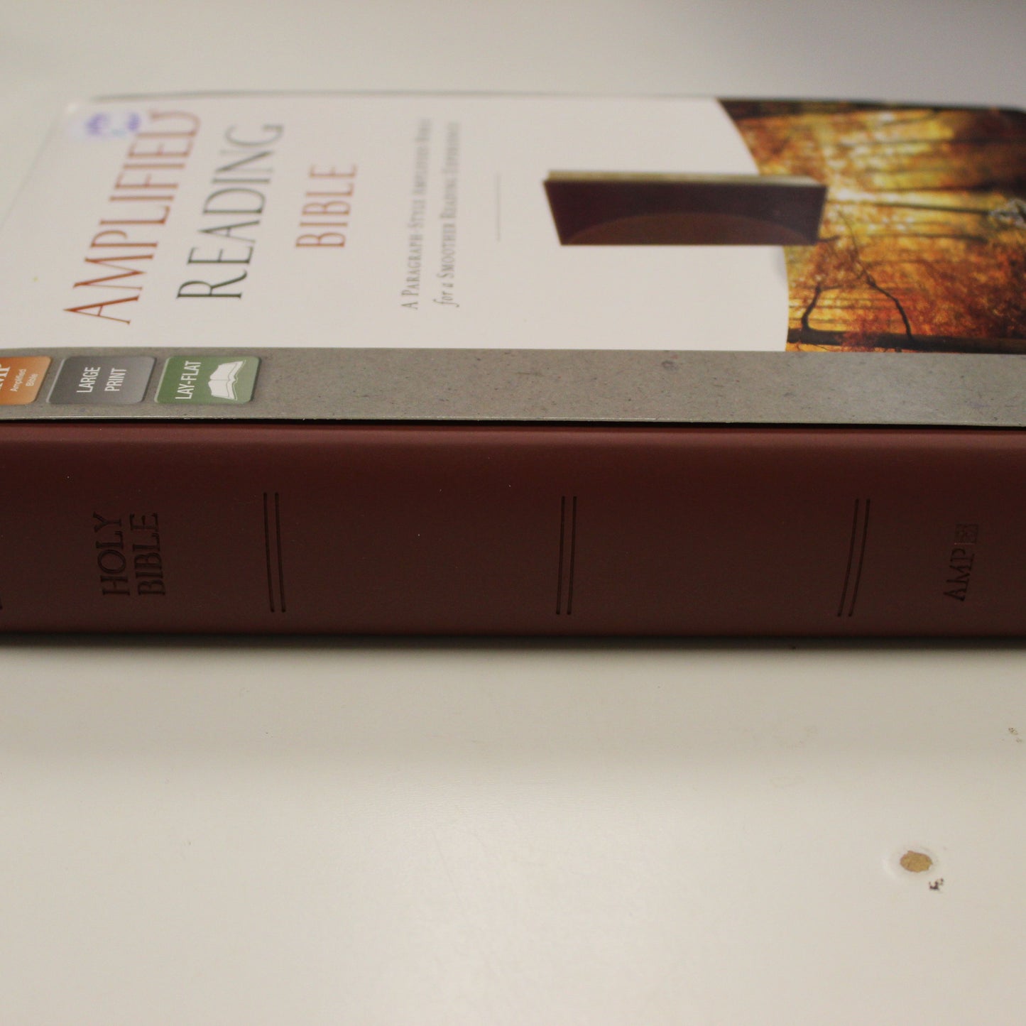 AMPLIFIED READING BIBLE