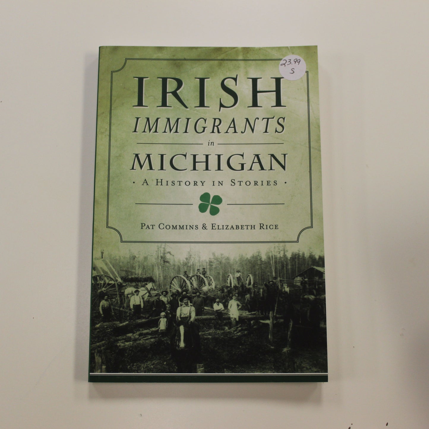 IRISH IMMIGRANTS IN MICHIGAN