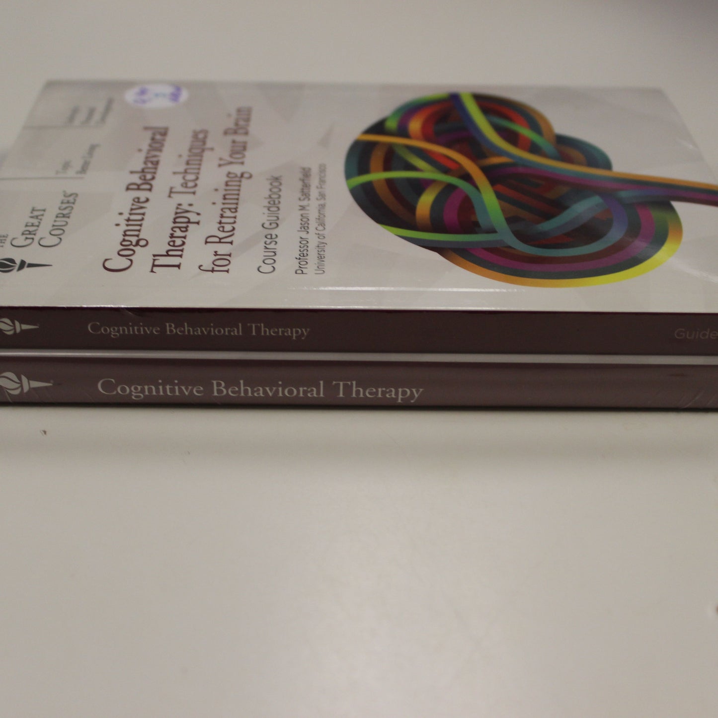 COGNITIVE BEHAVIORIAL THERAPY: TECHNIQUES FOR RETRAINING YOUR BRAIN - COURSE GUIDEBOOK W/DVD
