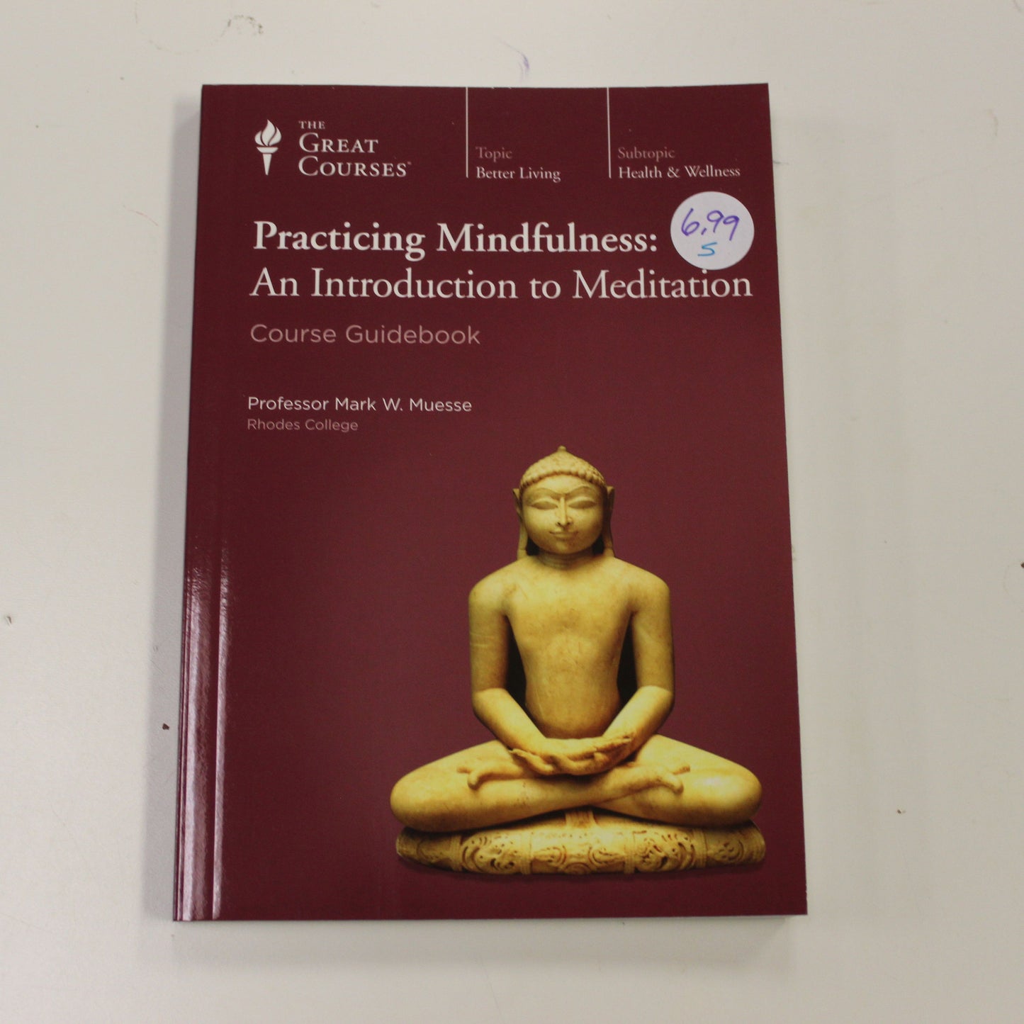 PRACTICING MINDFULNESS: AN INTRODUCTION TO MEDITATION COURSE GUIDEBOOK