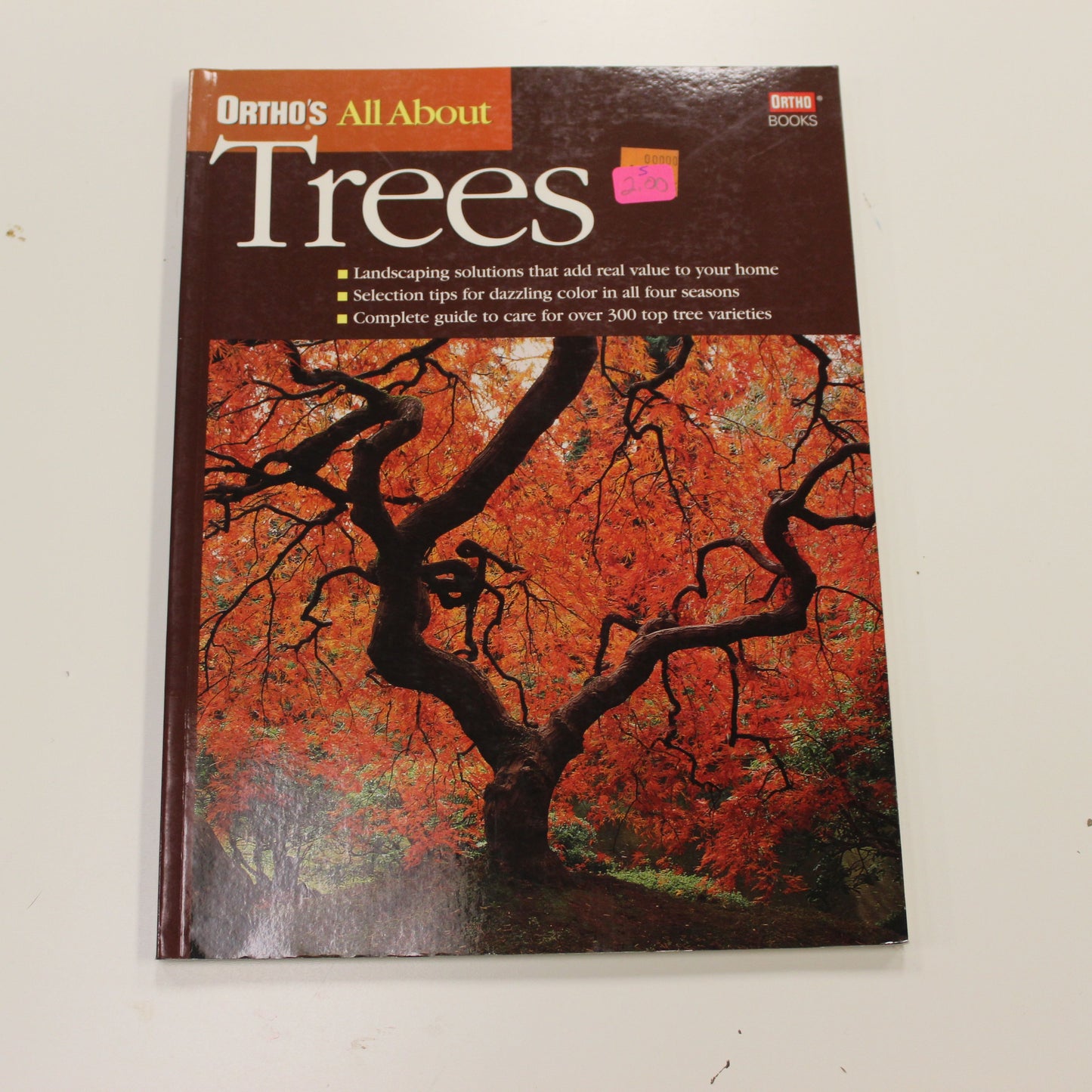 ORTHO'S ALL ABOUT: TREES