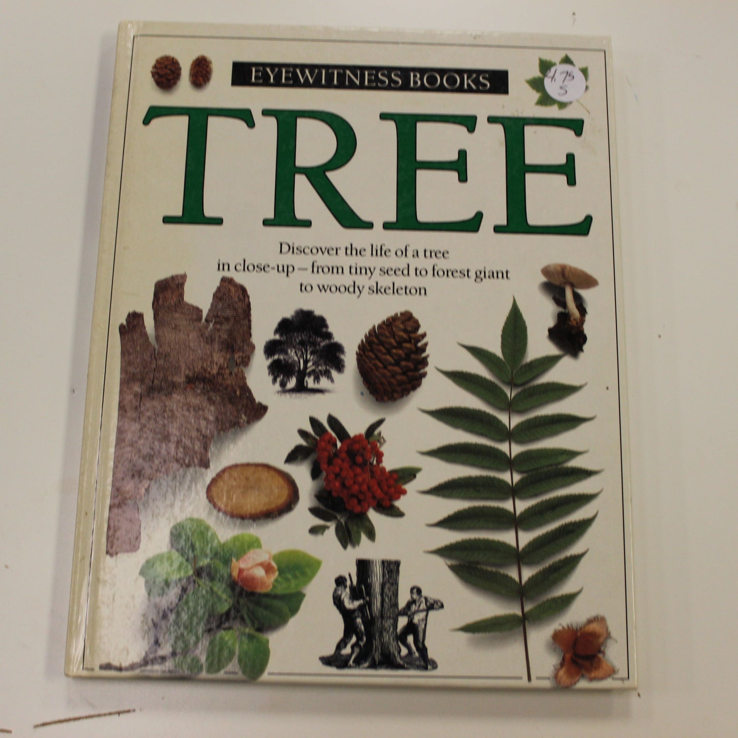 EYEWITNESS BOOKS: TREE