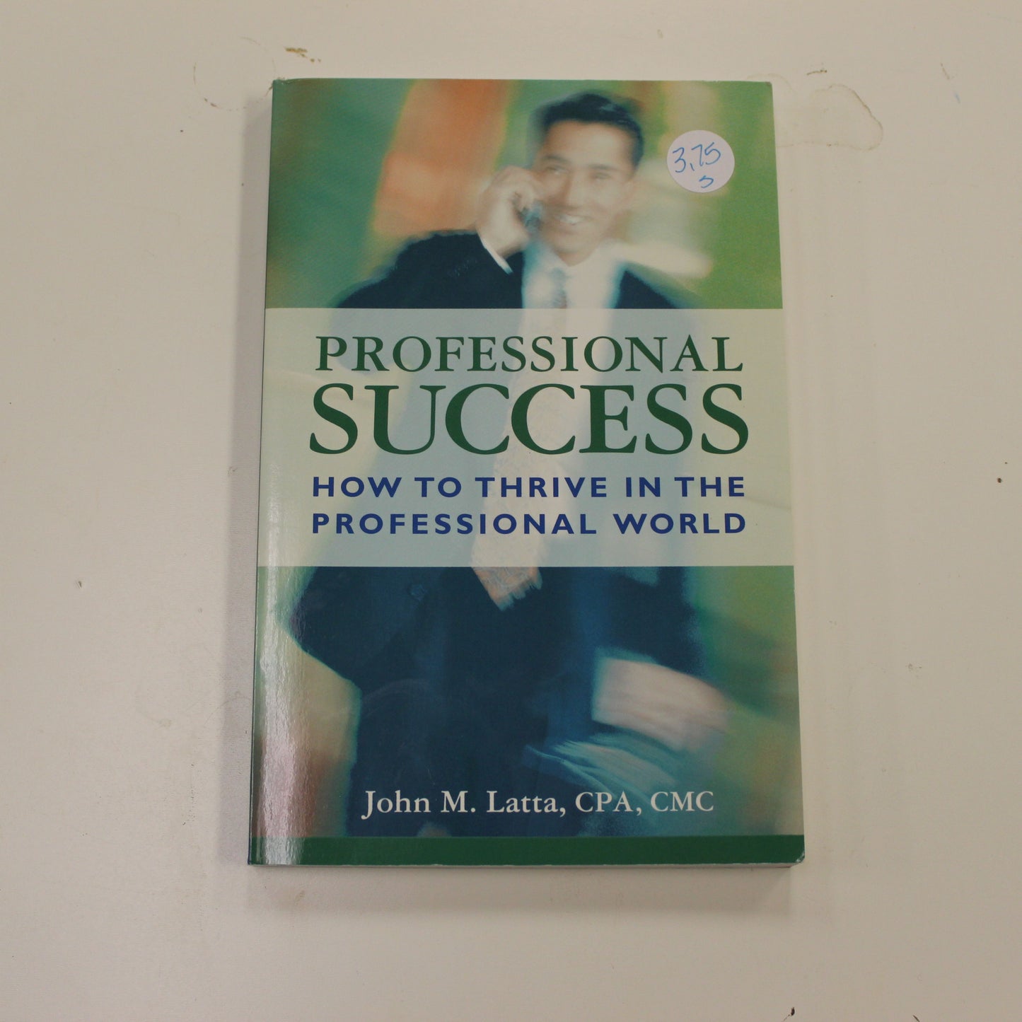 PROFESSIONAL SUCCESS HOW TO THRIVE IN THE PROFESSIONAL WORLD