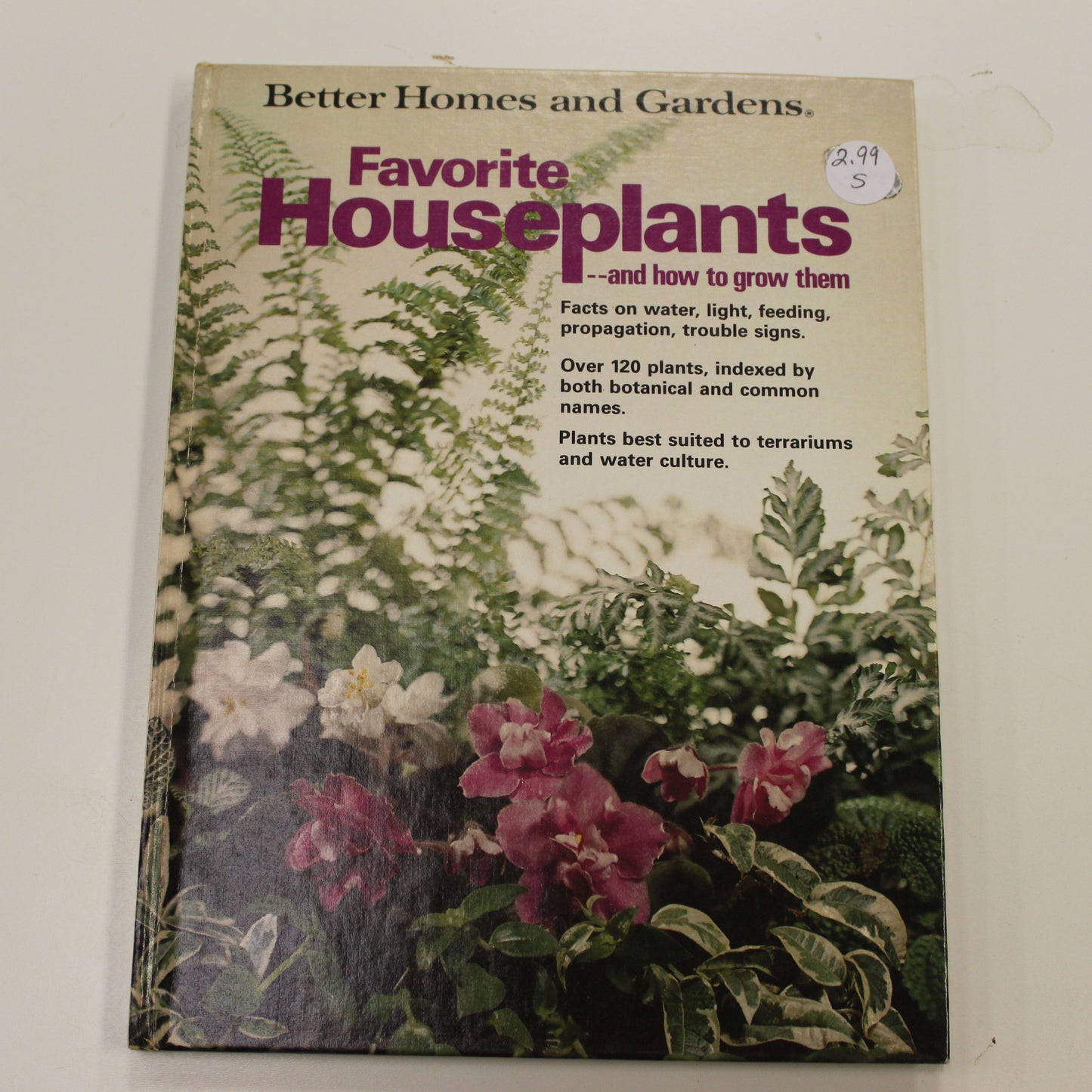 FAVORITE HOUSE PLANTS AND HOW TO GROW THEM