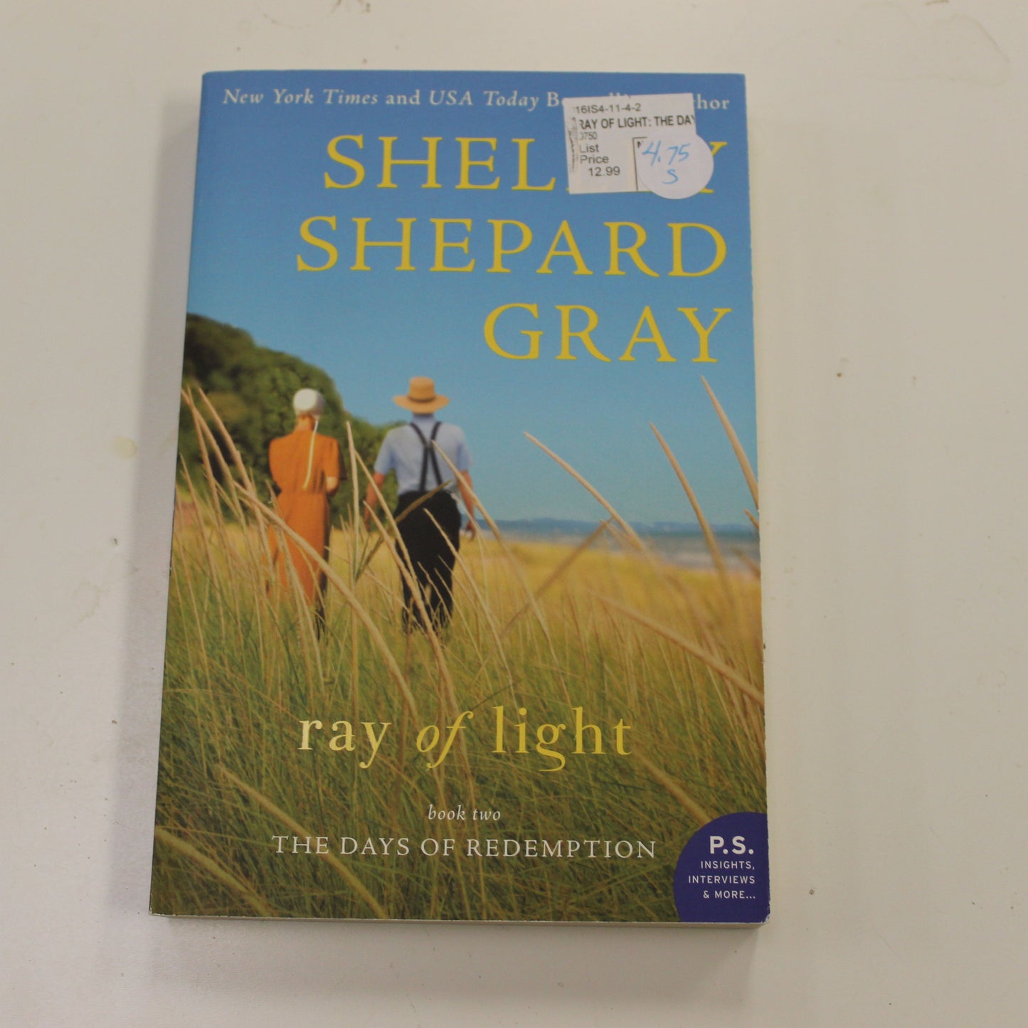 RAY OF LIGHT BOOK TWO THE DAYS OF REDEMPTION