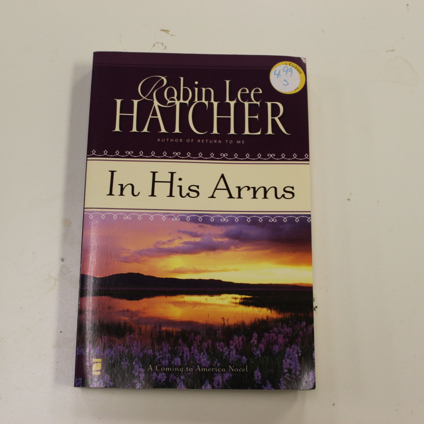 IN HIS ARMS: A COMING TO AMERICA NOVEL BOOK 3