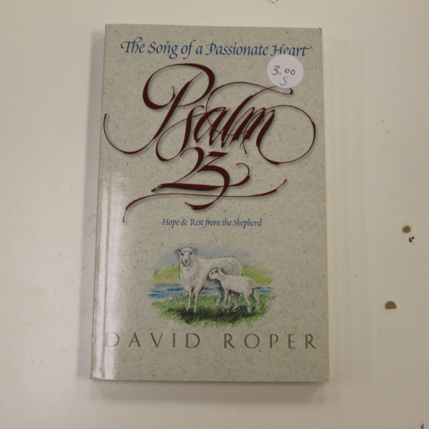 PSALM 23: HOPE & REST FROM THE SHEPHERD