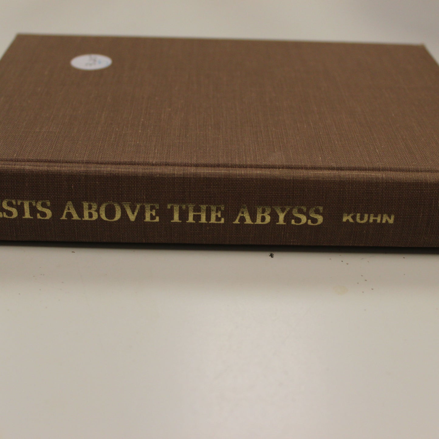 NESTS ABOVE THE ABYSS