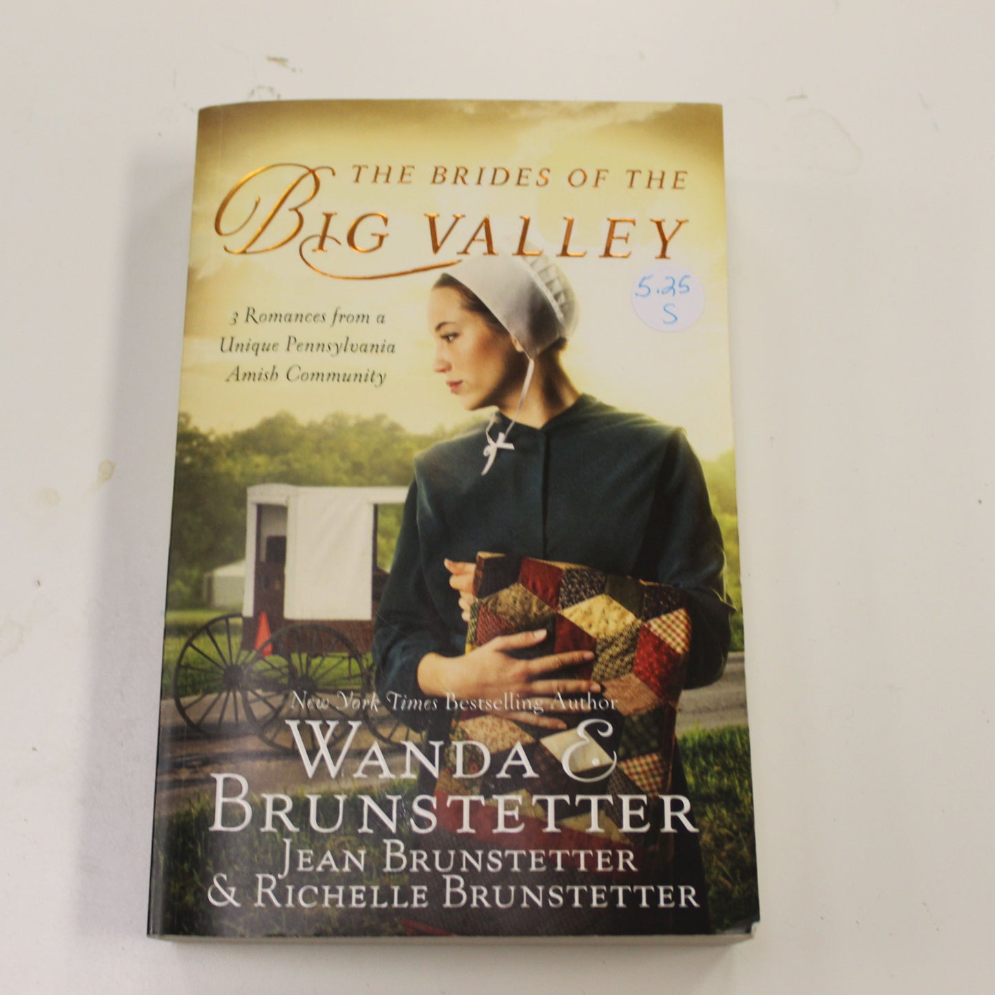 THE BRIDES OF THE BIG VALLEY