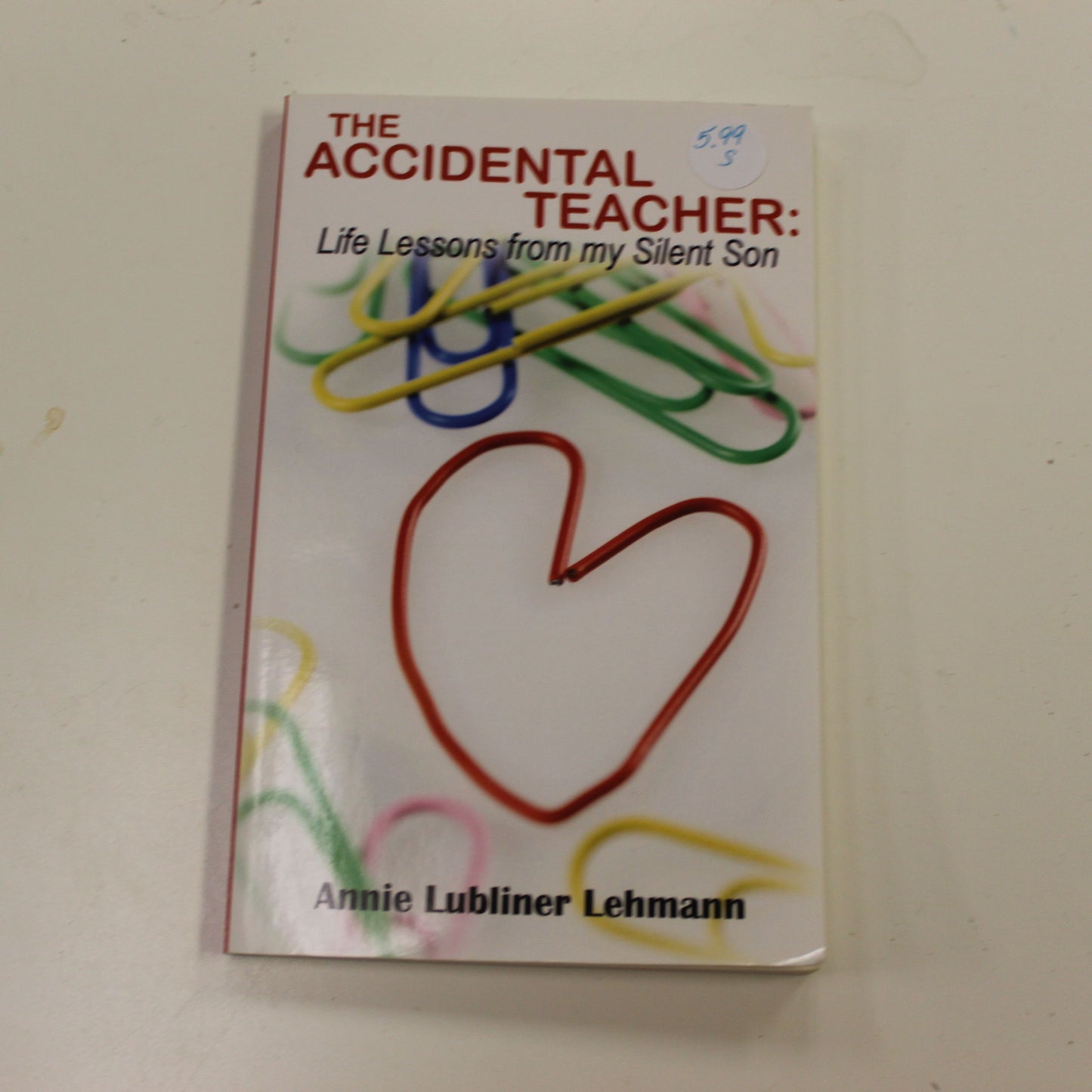 THE ACCIDENTAL TEACHER: LIFE LESSONS FROM MY SILENT SON