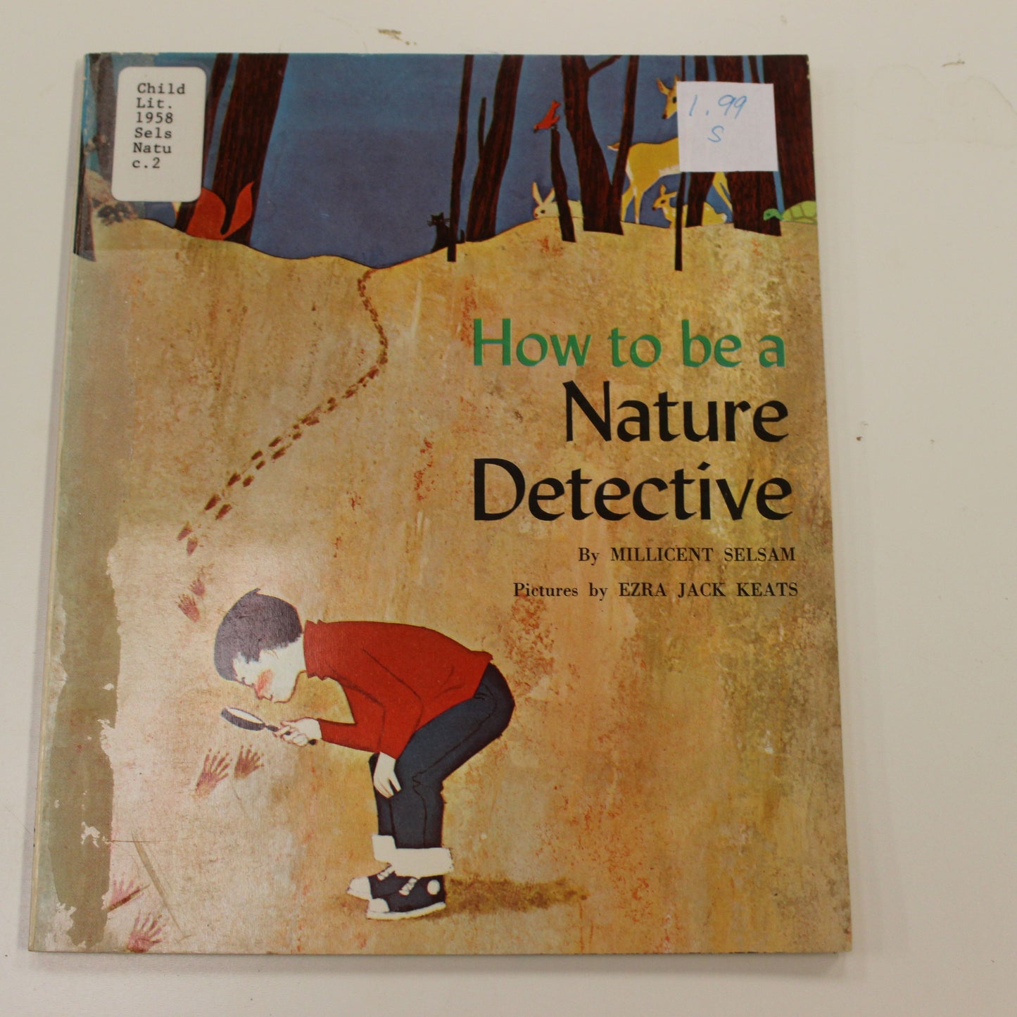 HOW TO BE A NATURE DETECTIVE