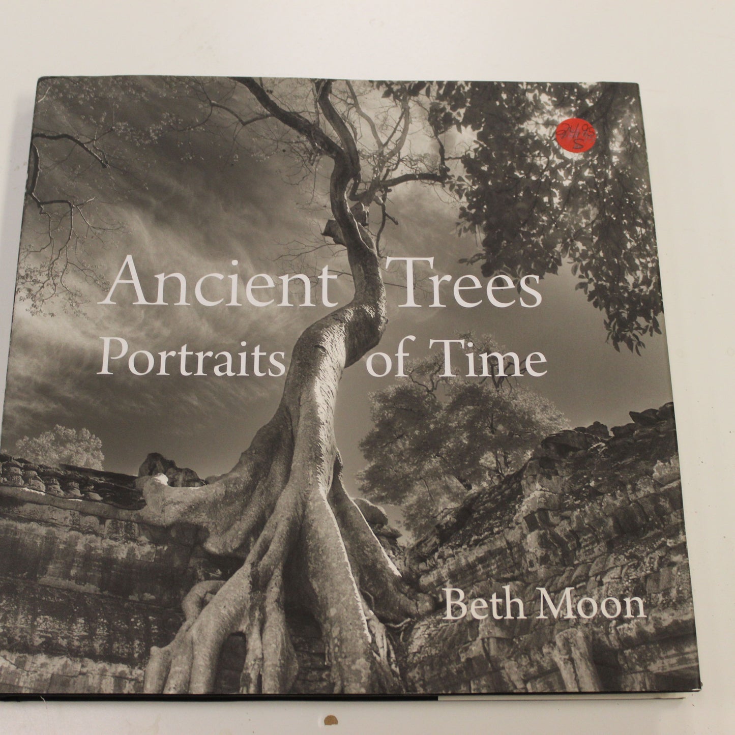 ANCIENT TREES PORTRAITS OF TIME