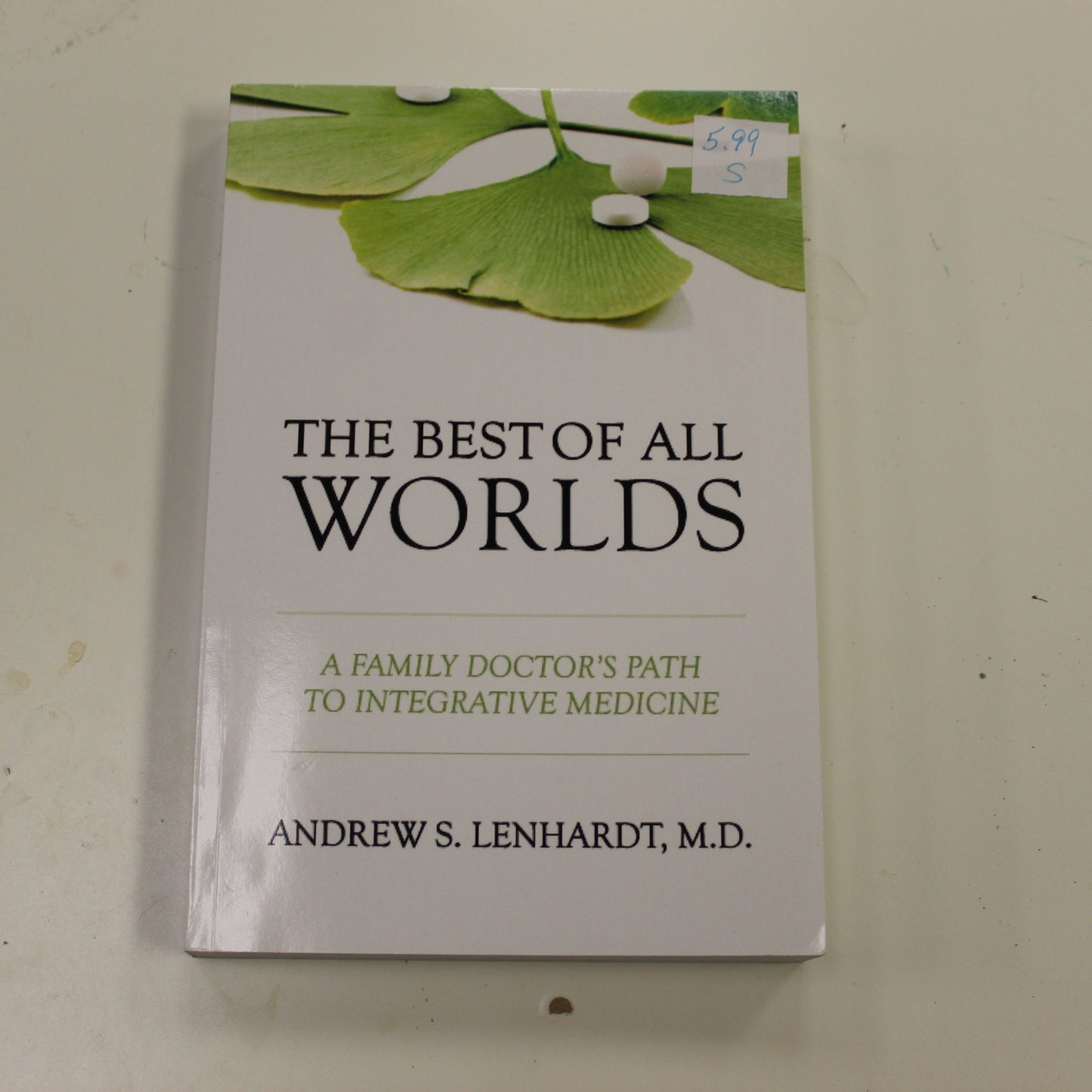 THE BEST OF ALL WORLDS: A FAMILY DOCTOR'S PATH TO INTEGRATIVE MEDICINE