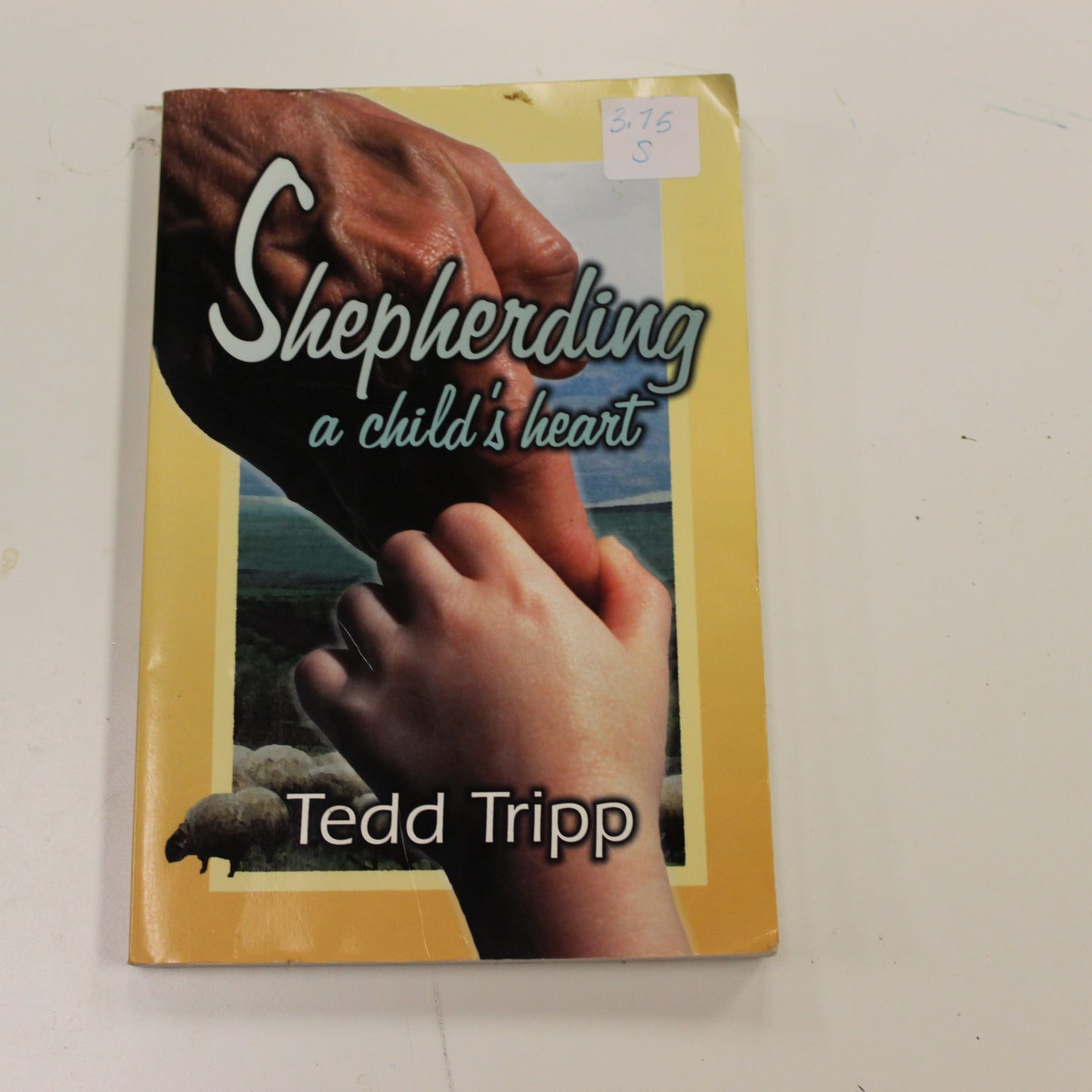 SHEPHERDING A CHILD'S HEART