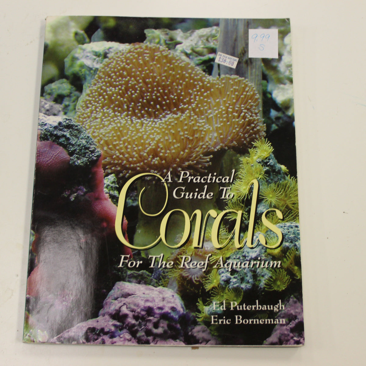 Field Guide Corals A PRACTICAL GUIDE TO CORALS FOR THE REEF AQUARIUM – aMaizing BookBee