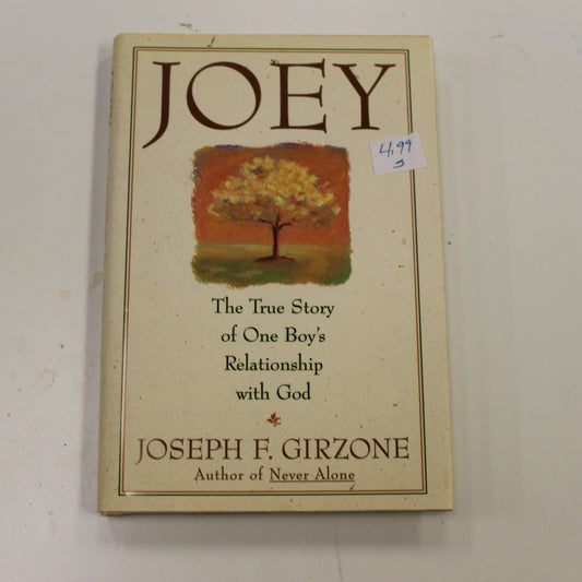 JOEY THE TRUE STORY OF ONE BOY'S RELATIONSHIP WITH GOD