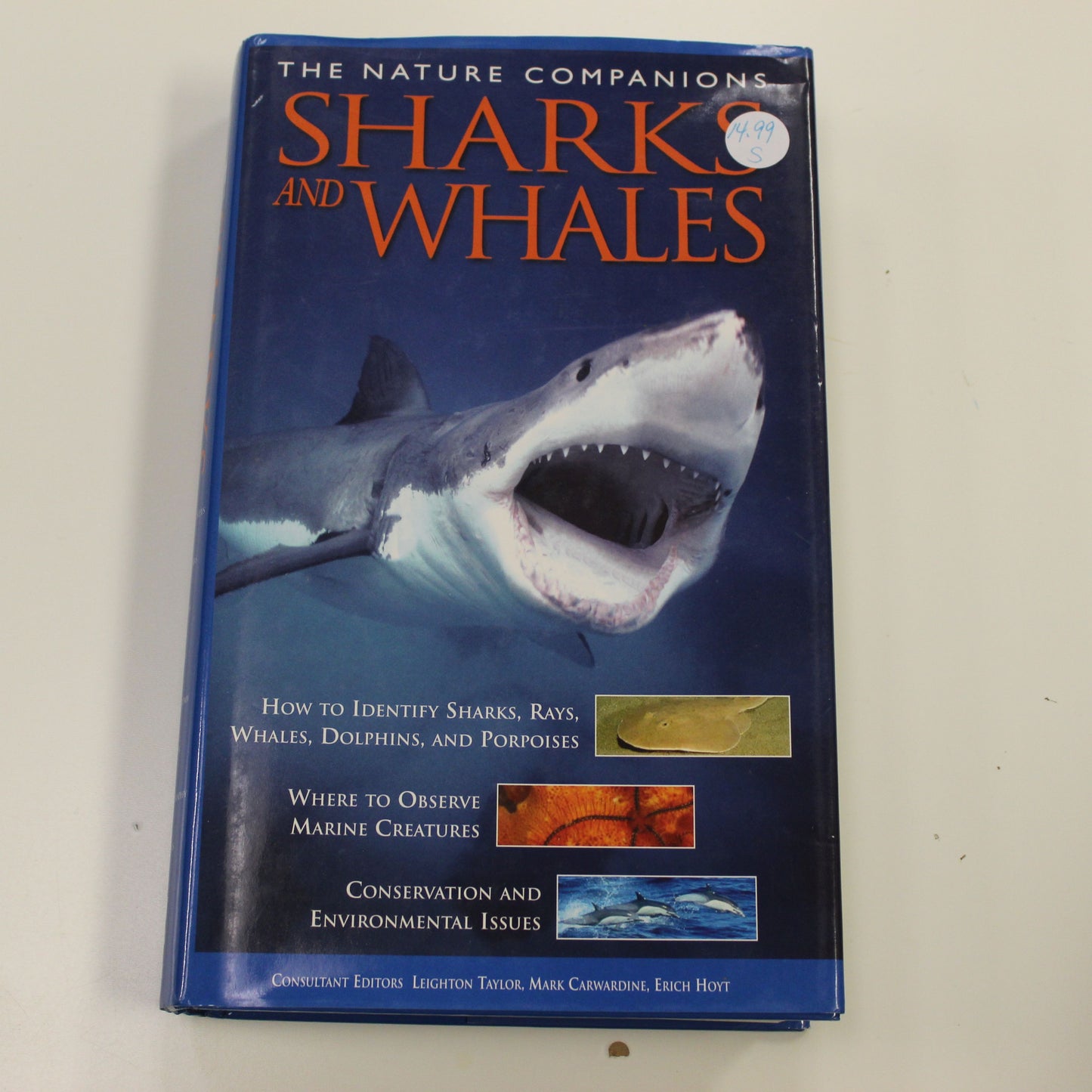 THE NATURE COMPANIONS SHARKS AND WHALES
