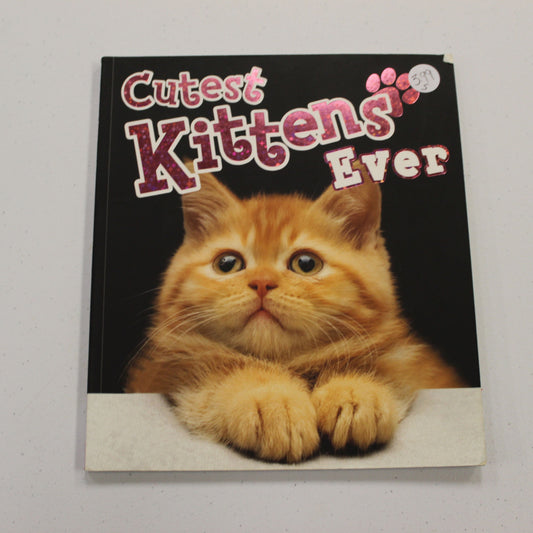 CUTEST KITTENS EVER