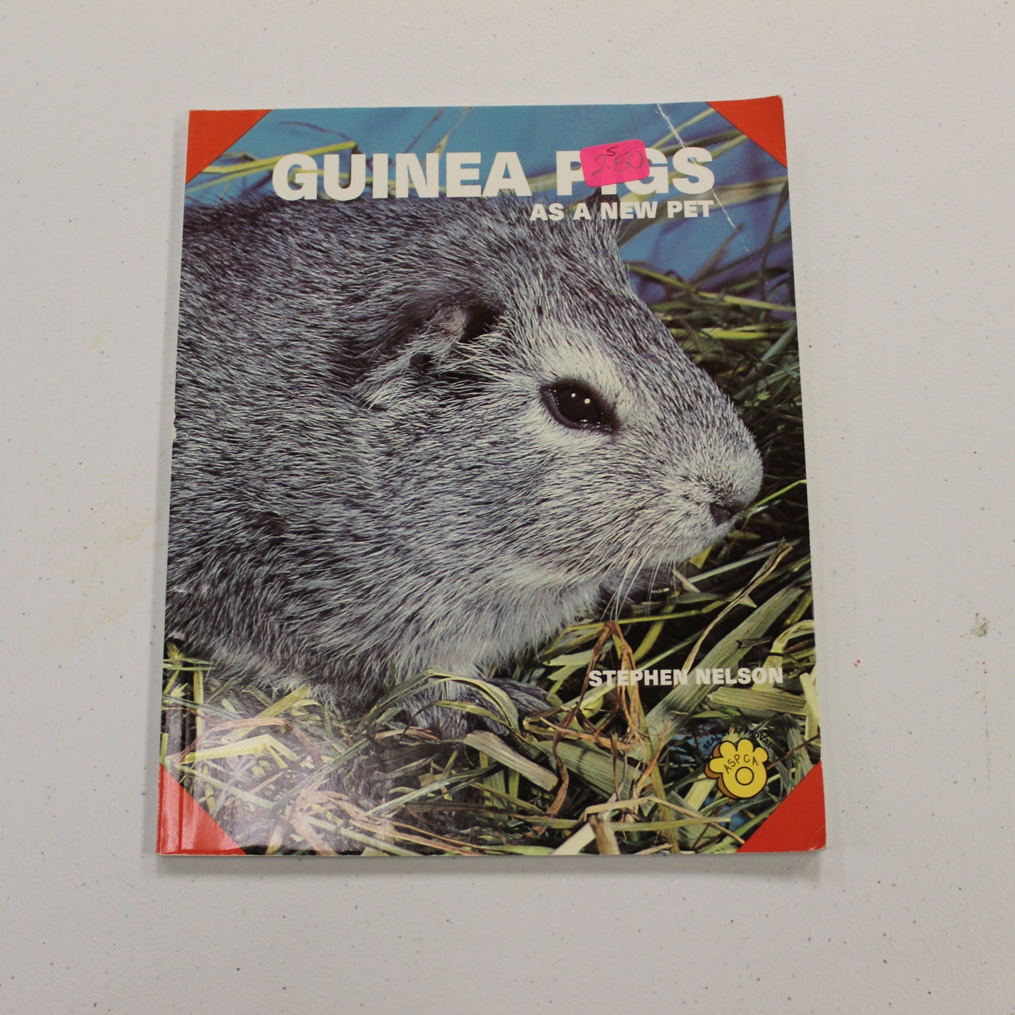 GUINEA PIGS AS A NEW PET