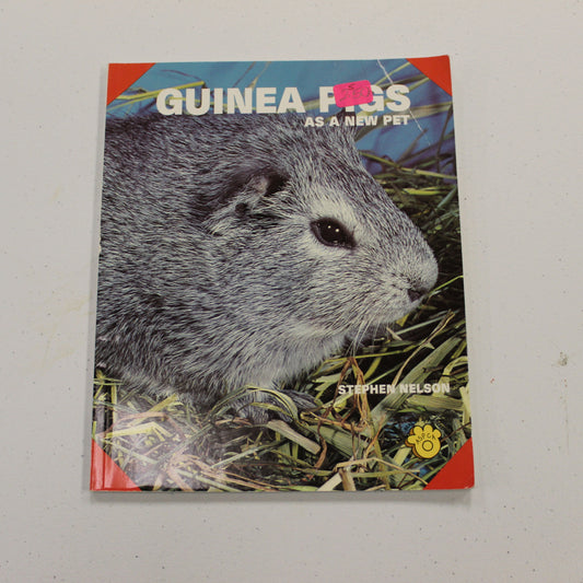 GUINEA PIGS AS A NEW PET