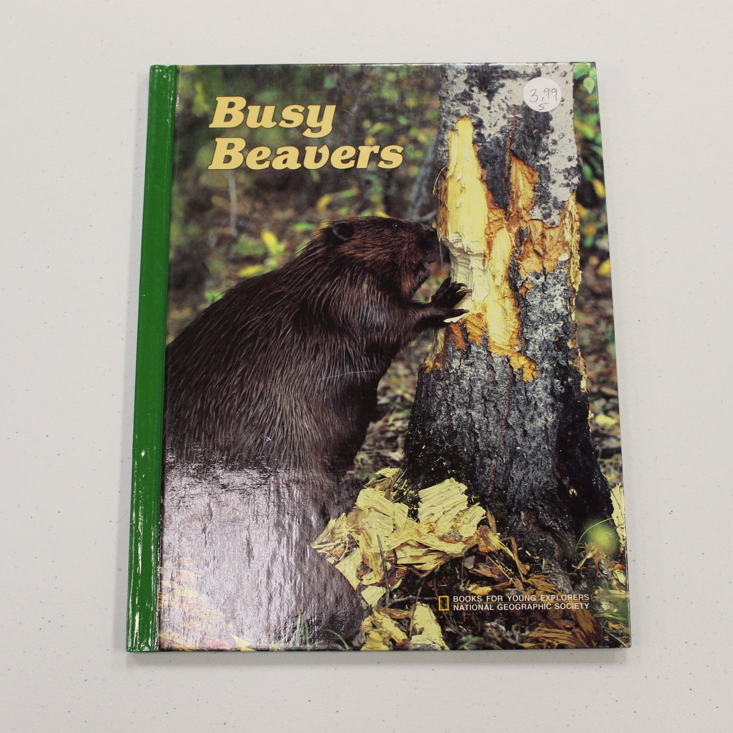 BUSY BEAVERS
