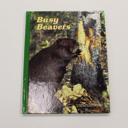 BUSY BEAVERS