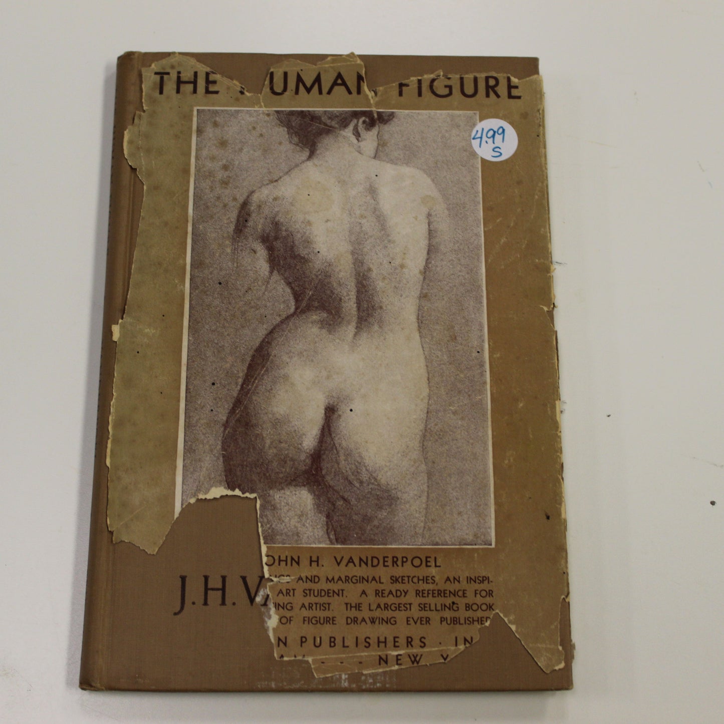 THE HUMAN FIGURE