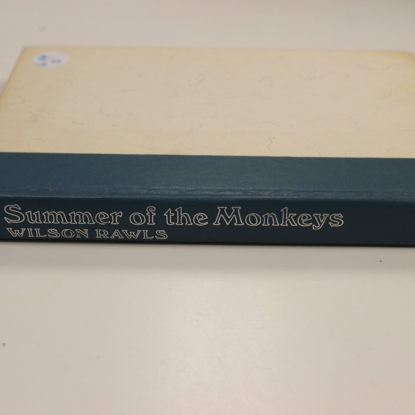 SUMMER OF THE MONKEYS