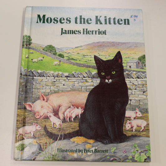 MOSES THE KITTEN