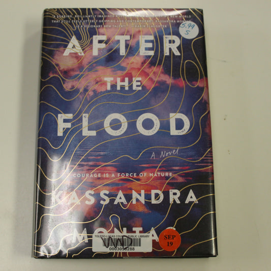 AFTER THE FLOOD