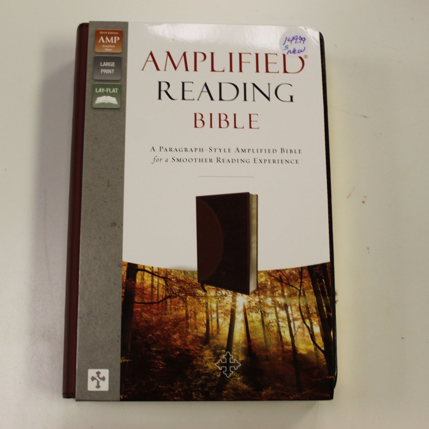 AMPLIFIED READING BIBLE