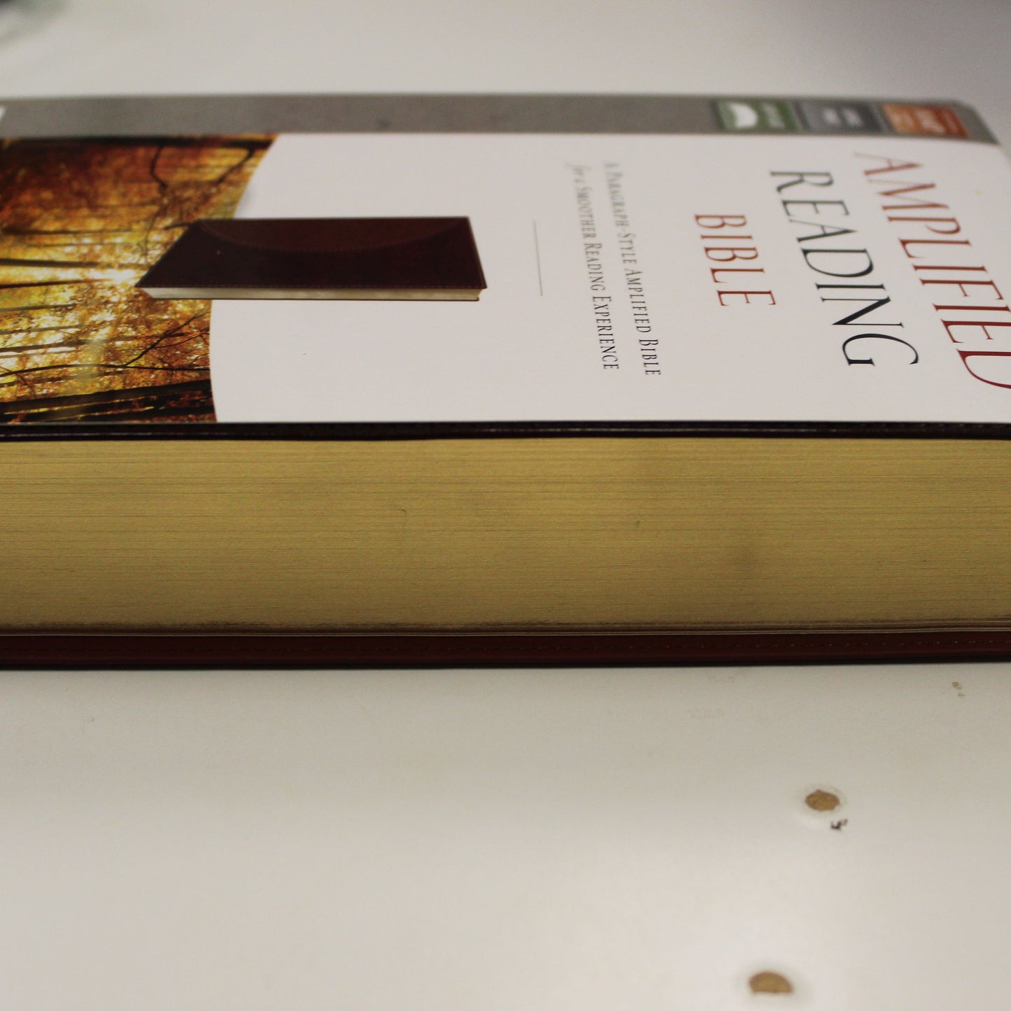 AMPLIFIED READING BIBLE