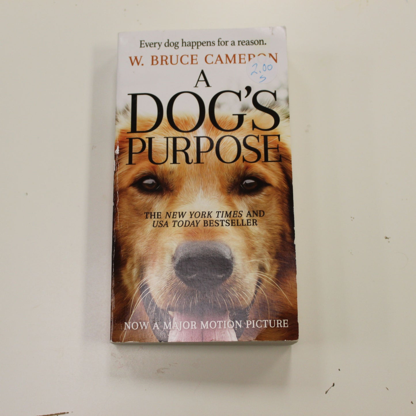 A DOGS PURPOSE