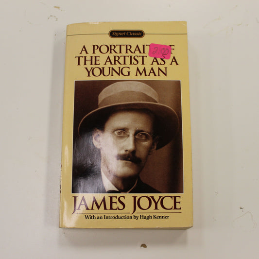 A PORTRAIT OF THE ARTIST AS A YOUNG MAN