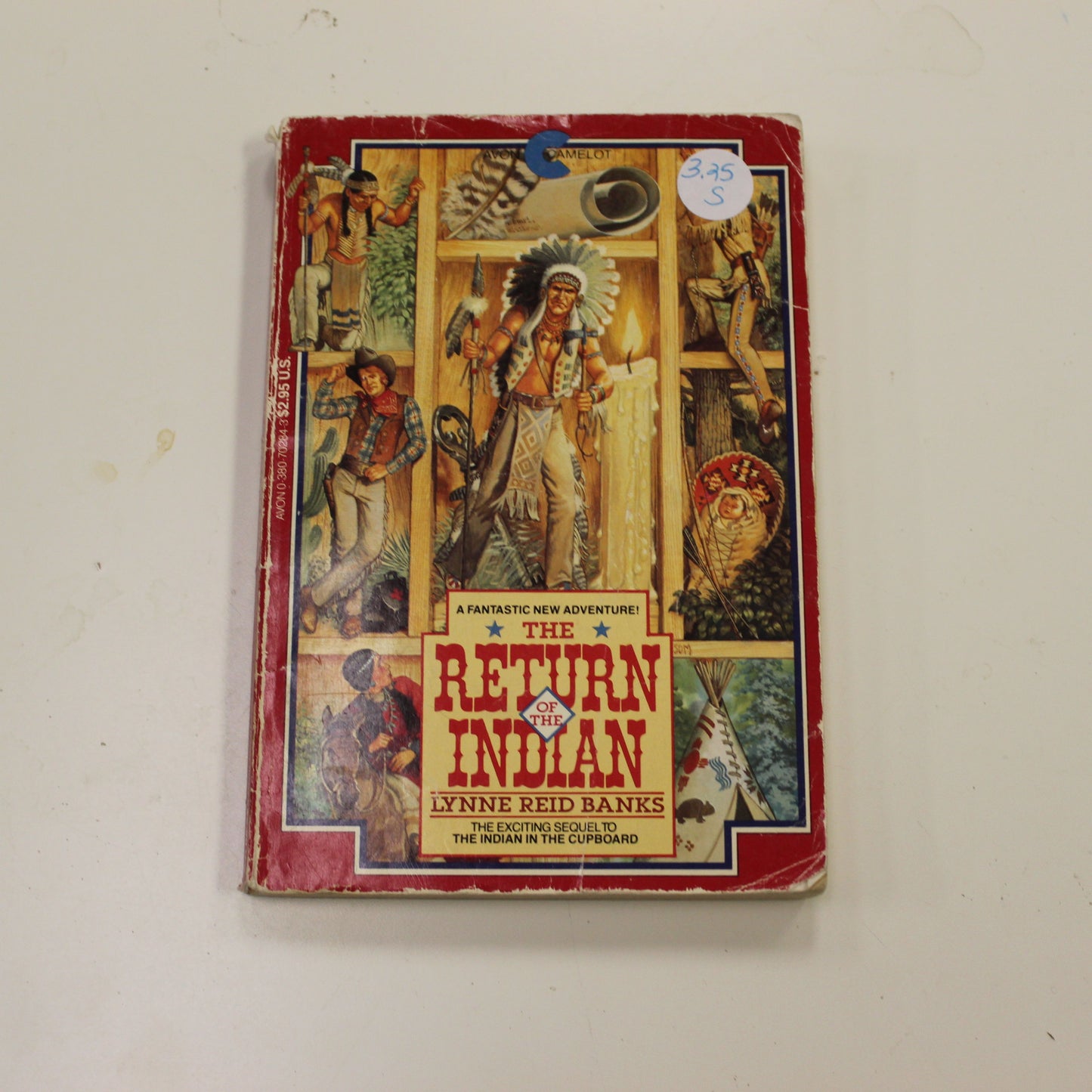 THE RETURN OF THE INDIAN