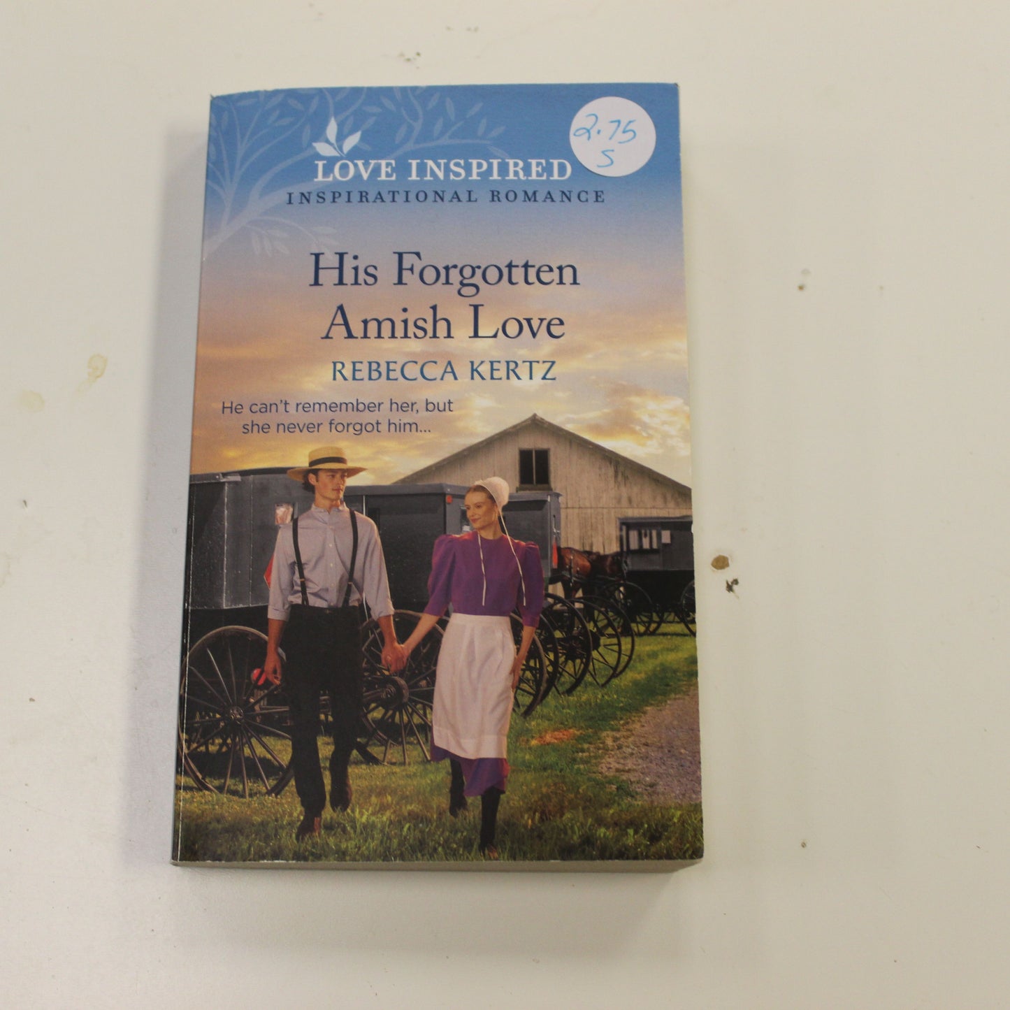 HIS FORGOTTEN AMISH LOVE