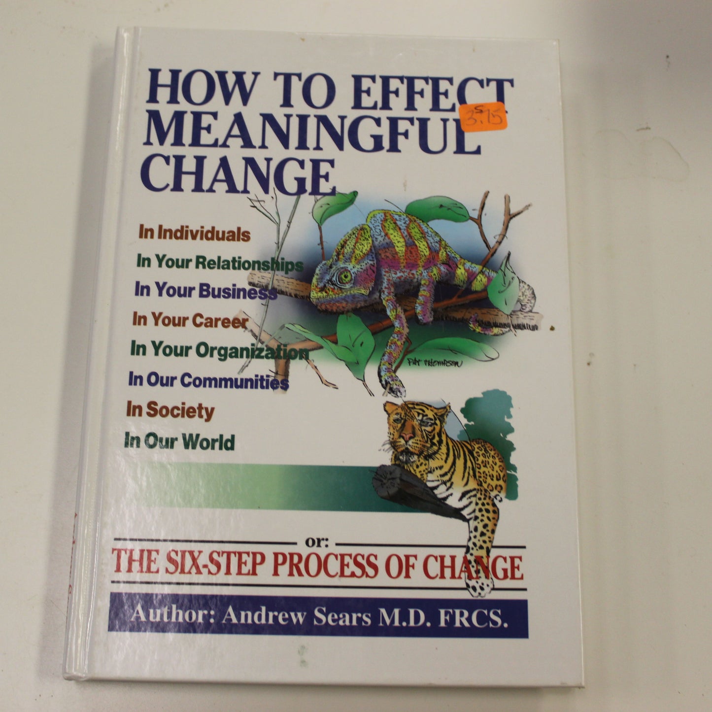 HOW TO EFFECT MEANINGFUL CHANGE