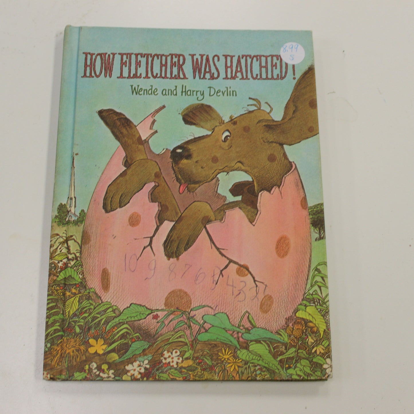 HOW FLETCHER WAS HATCHED!