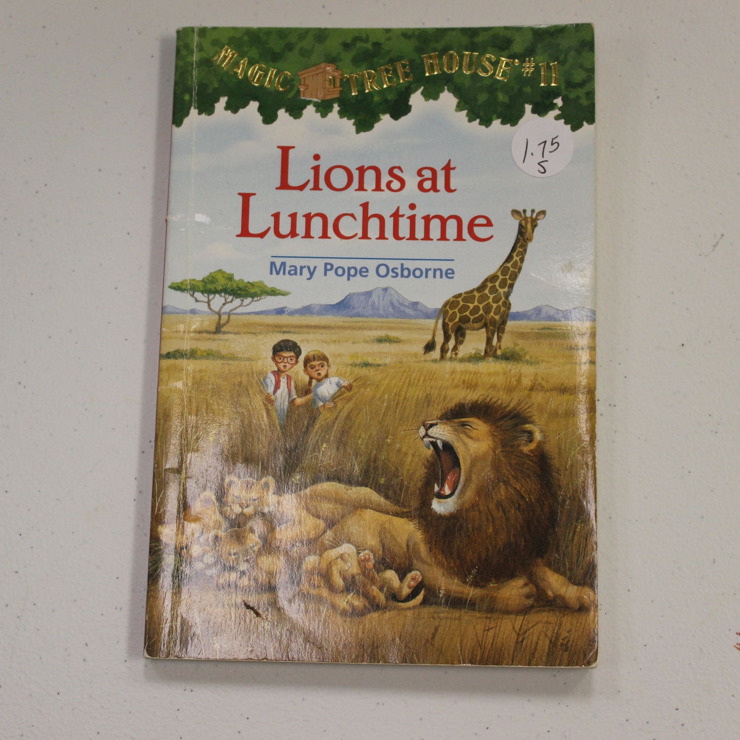 LIONS AT LUNCHTIME