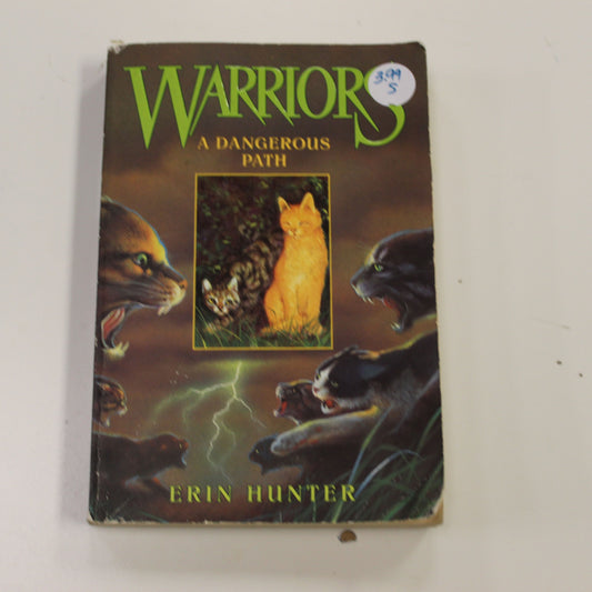 WARRIORS A DANGEROUS PATH